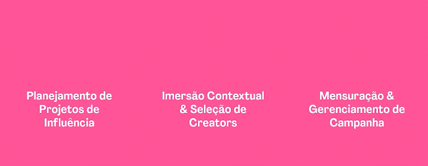 Site Herca Agency - Animações de ícones